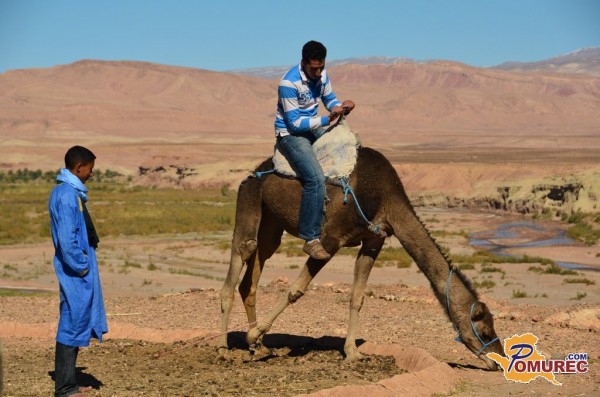 Ourzazate - vrata v maroško puščavo